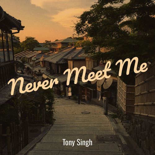 Never Meet Me
