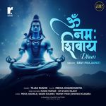 Om Namah Shivay Dhun