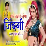 थारे सहारे लूंगा जिंदगी काट बाबा जी