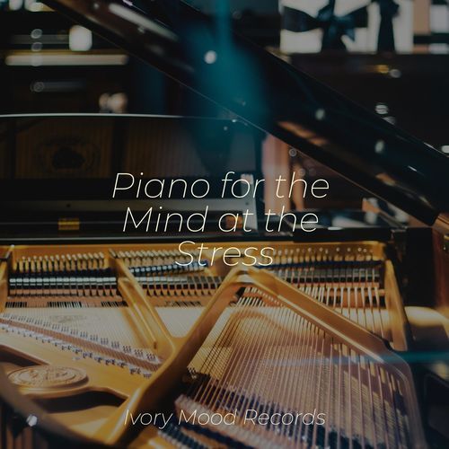 Piano for the Mind at the Stress_poster_image