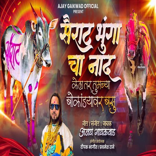 Sairat Bhunga Cha Naad Kela Tar Tumchya Dokyavar Basu
