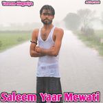 Saleem Yaar Mewati