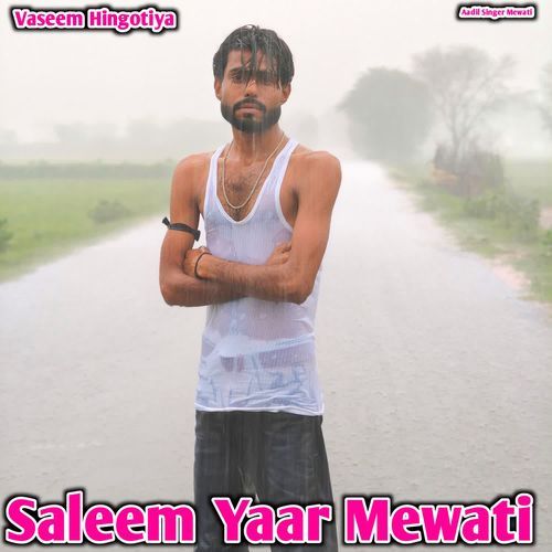Saleem Yaar Mewati