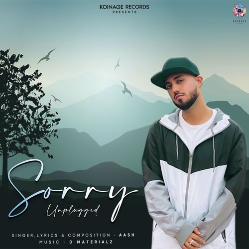 Sorry (Unplugged Version)