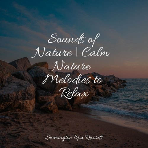 Sounds of Nature | Calm Nature Melodies to Relax