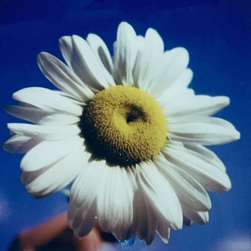 I'd Forgive You in a Heartbeat, but I Can't Forgive Myself cover art