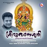 Mizhineeru Kondoru F