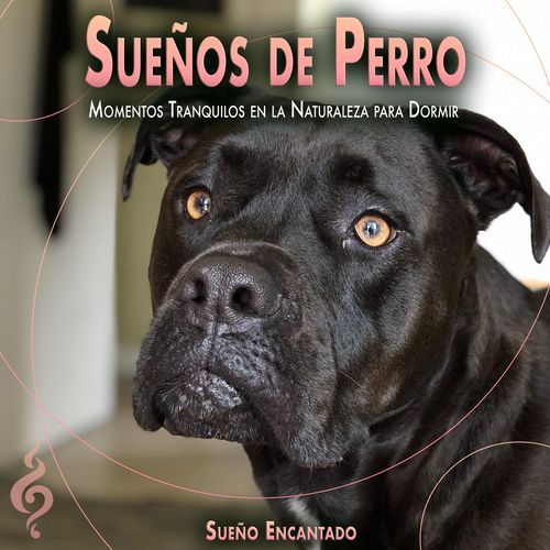 Colección Canciones de cuna para perros cover art