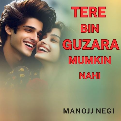 Tere Bin Guzara Mumkin Nahin