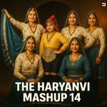 The Haryanvi Mashup 14