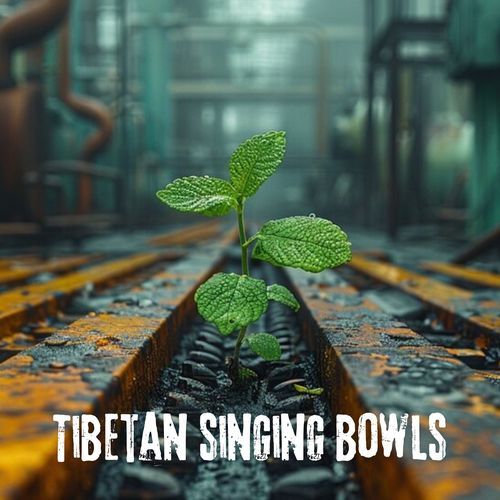 Tibetan singing bowls_poster_image