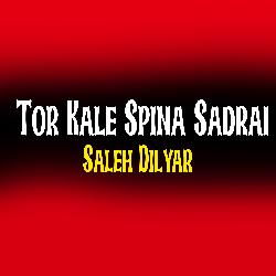 Tor Kale Spina Sadrai-GCIxBgdvcmo