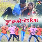 Tum Hamko Chhod Diya
