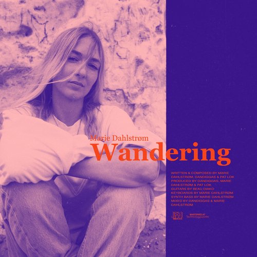 Wandering_poster_image