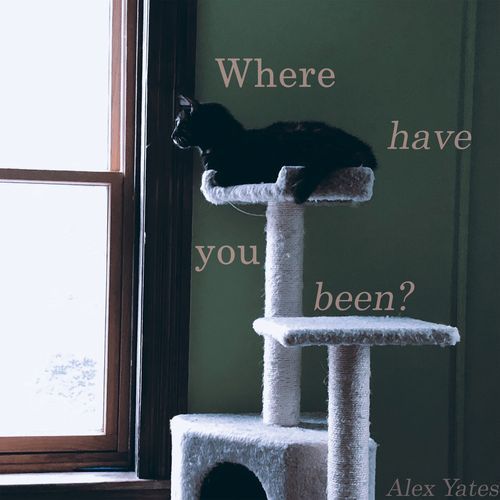 Song for my Dog cover art
