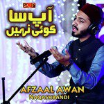 Zameen Asmaan Me Ap Sa Koi Nahi Hai