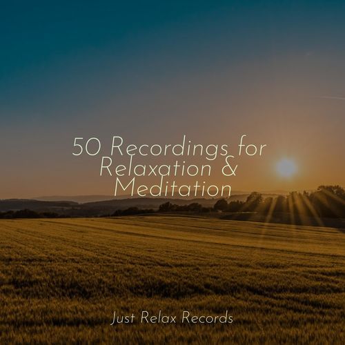 50 Recordings for Relaxation & Meditation