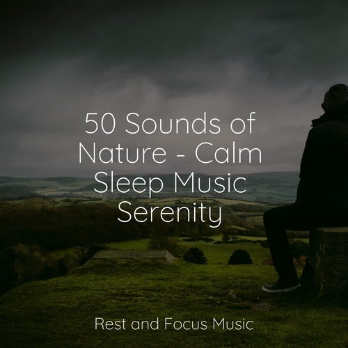 50 Sounds of Nature - Calm Sleep Music Serenity_poster_image