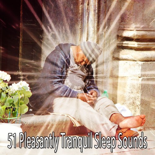 51 Pleasantly Tranquil Sleep Sounds