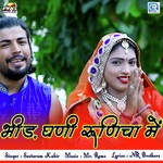 Bheed Ghani Runicha Mein