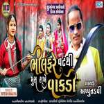 Bhilfare Vat Thi Mus Rakhe Vakadi