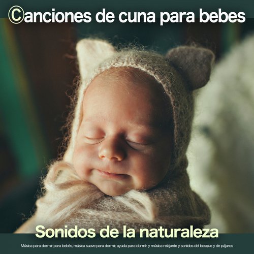Canciones infantiles para niños cover art