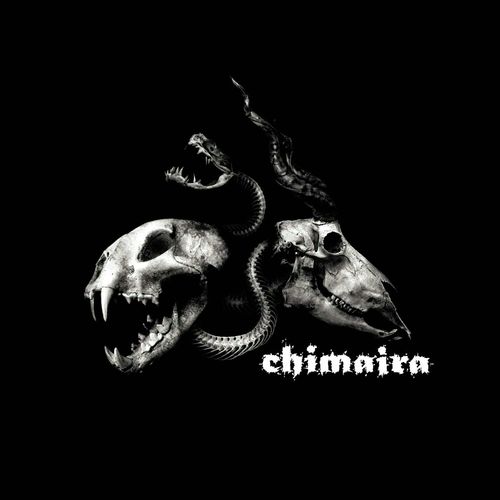 Chimaira Bonus Disc (Digital Bundle)_poster_image