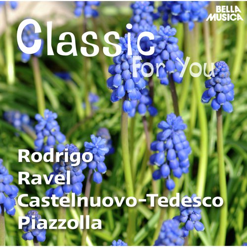 Sonatine für Flöte und Gitarre, Op. 205: I. Allegretto grazioso