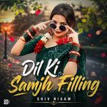 Dil Ki Samjh Filling
