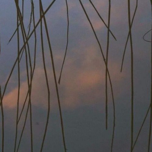 Antigen cover art
