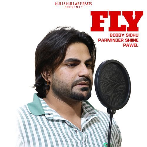 Fly