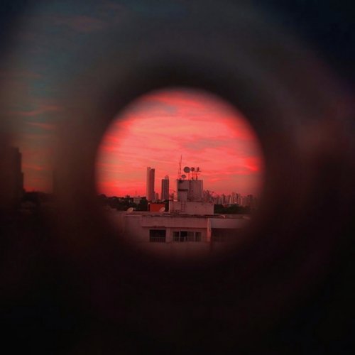 Miranda cover art