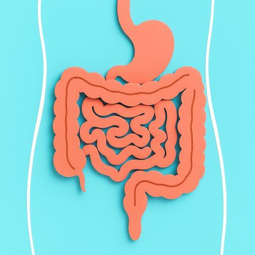 Anti-Bloat Frequency cover art