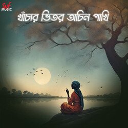 Khanchar Bhitor Achin Pakhi-PjIPCB9ZWWI