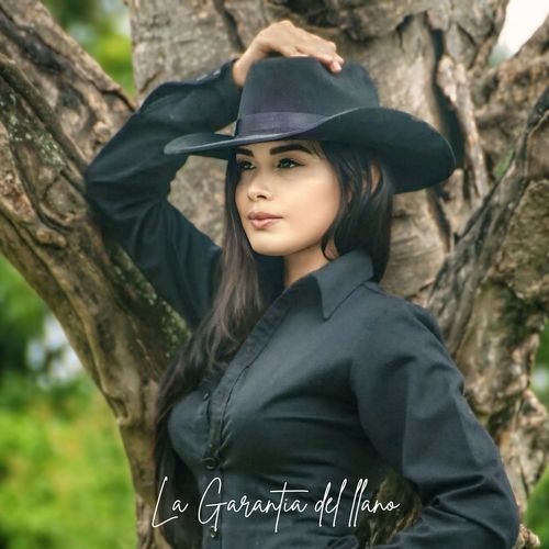 Mi Dinastia cover art