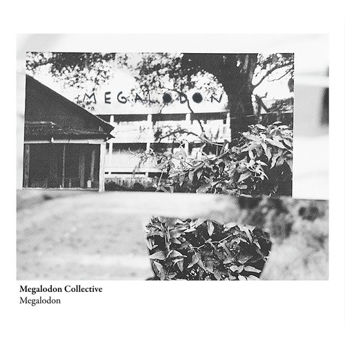 Nils cover art