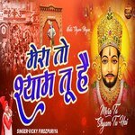 Mera To Shyam Tu Hai artwork