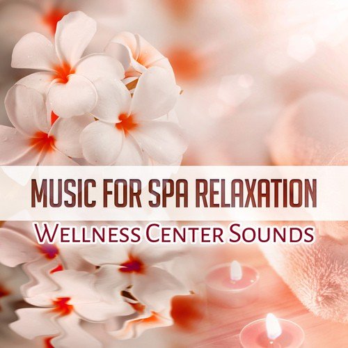 Mindfulness Meditation cover art