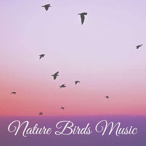 Nature Birds Music – Nature Sounds for Relaxation, Morning Birds, Calming New Age Sounds