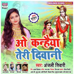 O Kanhaiya Teri Diwani