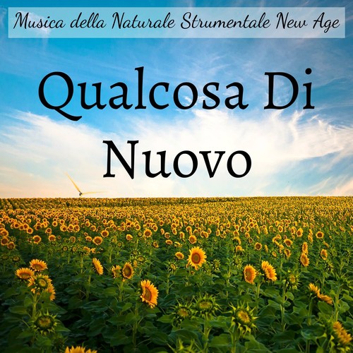 Felice Atmosfera cover art
