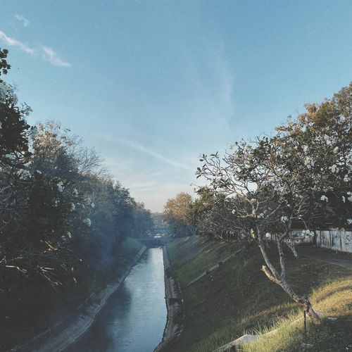 Rachel cover art
