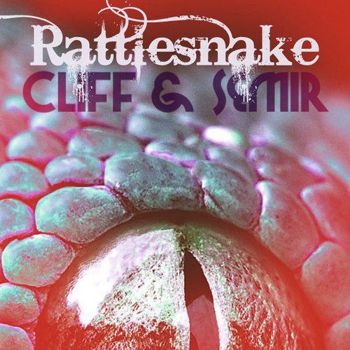 Rattlesnake_poster_image