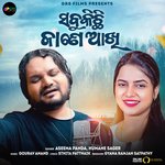 Sabu Kichi Jane Akhi