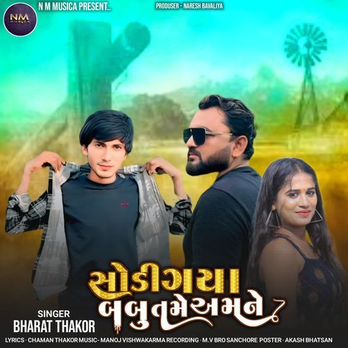 Sodigya Babu Tame Amne