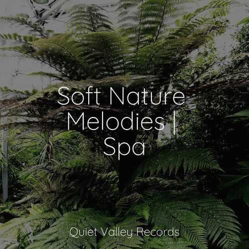 Soft Nature Melodies | Spa