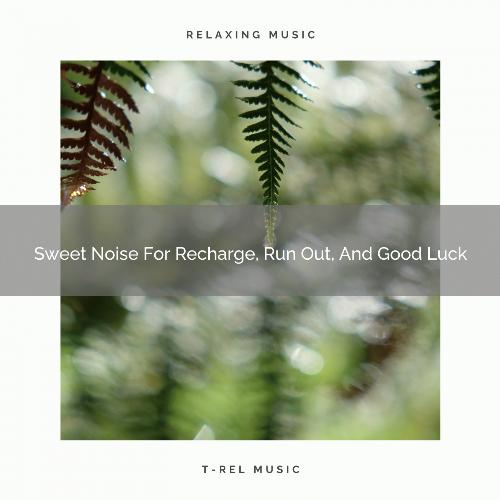 Sweet Noise For Recharge, Run Out, And Good Luck_poster_image