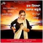 TUR GEYA JAHAAZ CHARHKE