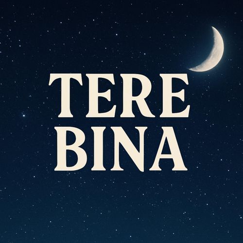Tere Bina