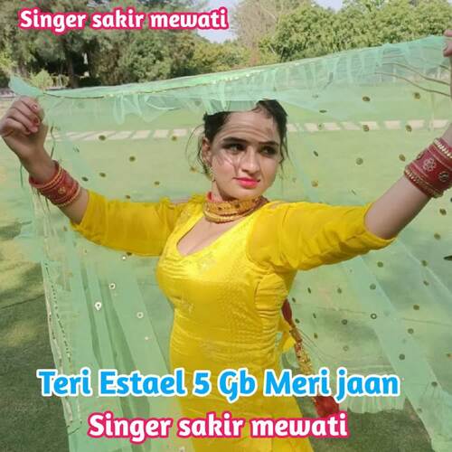 Teri Estael 5 Gb Meri jaan